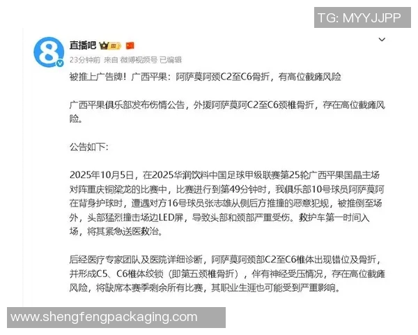 足球场上被恶意犯规致伤的球星回顾及其影响分析